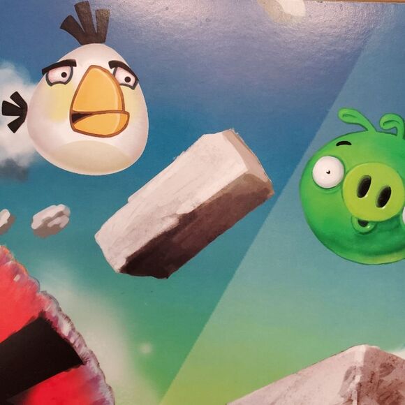 Angry Birds 2011 Poster 18x24 Great Condition Rovio Mobile, Ltd - Picture 6 of 10